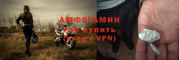 сатива Карпинск