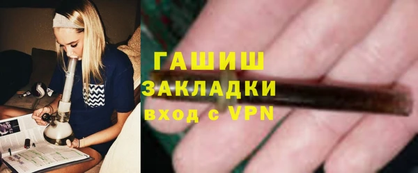 сатива Карпинск