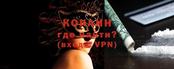 сатива Карпинск
