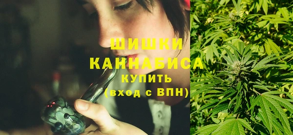сатива Карпинск