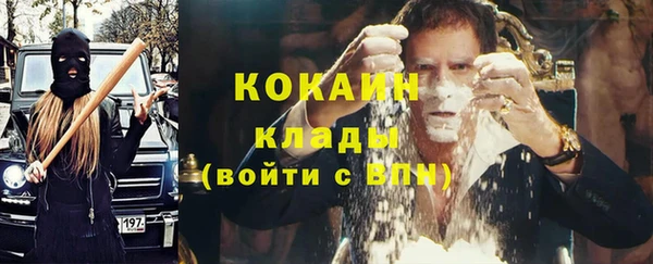 сатива Карпинск