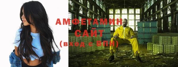 сатива Карпинск