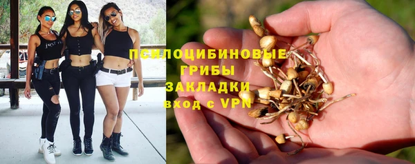 сатива Карпинск