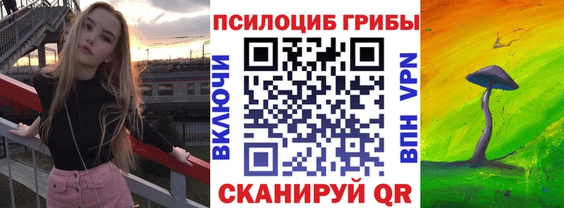 Купить где  Ермолино  Галлюциногенные грибы прущие грибы 